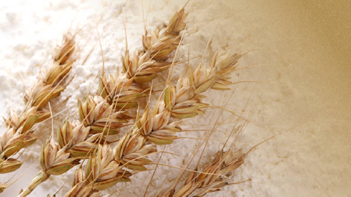 桐生産小麦